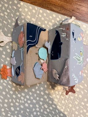 Kiwico ocean explorer activity wedge